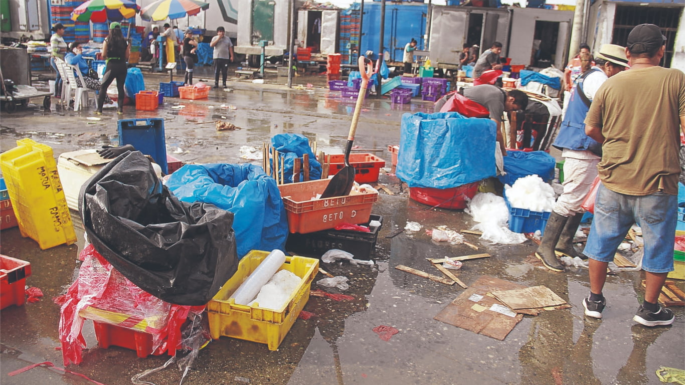 Terminal pesquero de Trujillo no recibe pruebas de descarte de covid-19