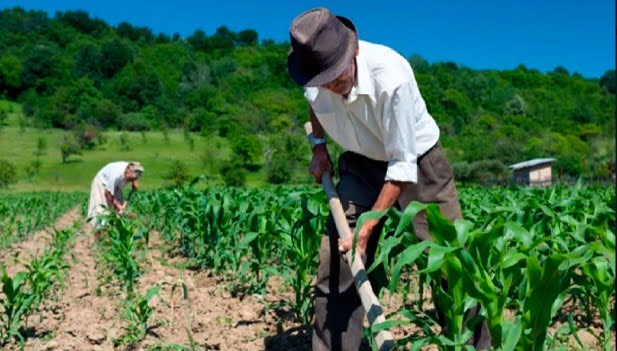 Agricultores liberteños obtendrán licencias para el uso gratuito del agua
