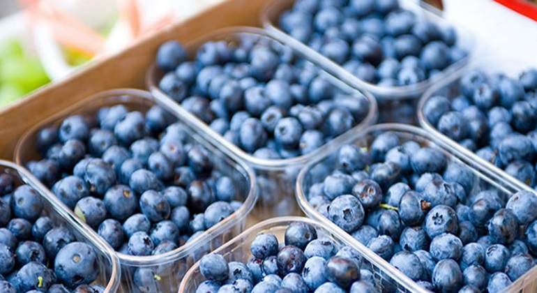 Solo se consume el 10 % de la producción de arándanos en el país
