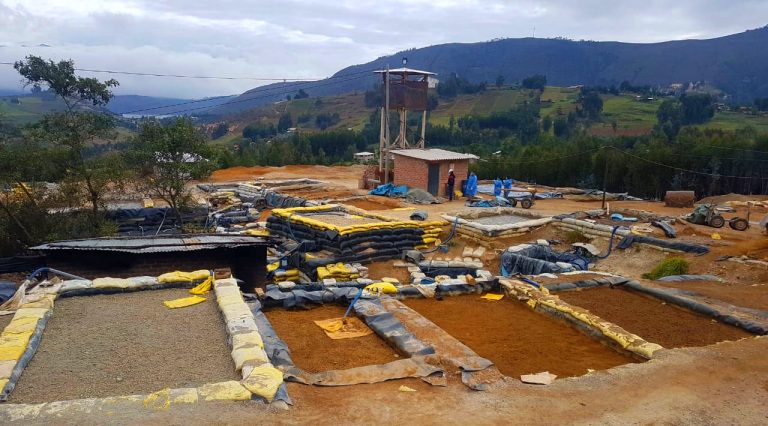La minería ilegal en La Libertad dejó más de 70 cuidados muertos