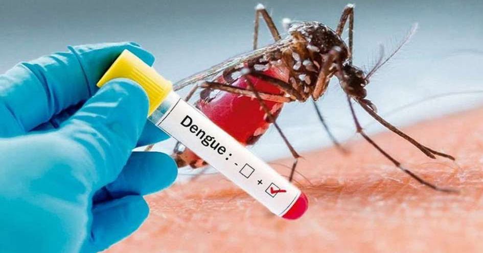 OMS: “En las últimas décadas el Dengue está aumentando”