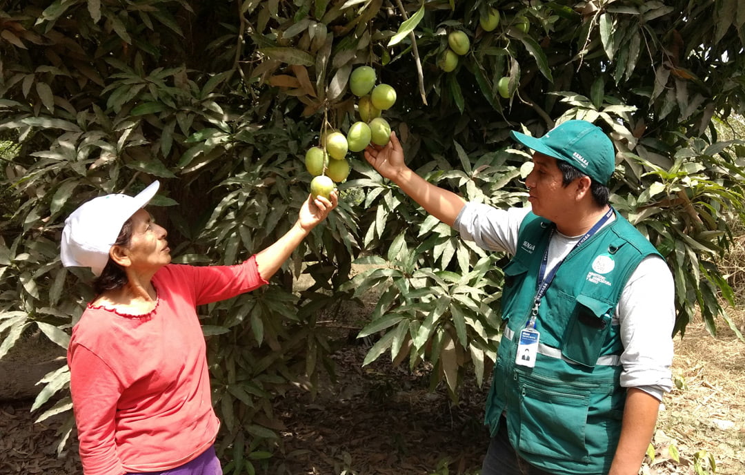 Municipios afianzan alianzas para erradicar la mosca de la fruta