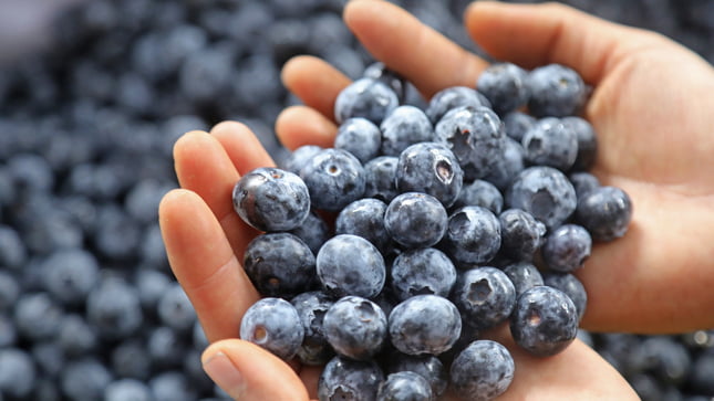 Beneficios del consumo de arándanos