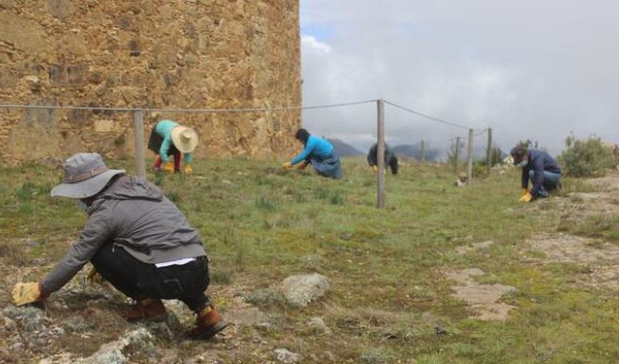 La Libertad : Realizan mantenimiento en monumentos arqueológicos