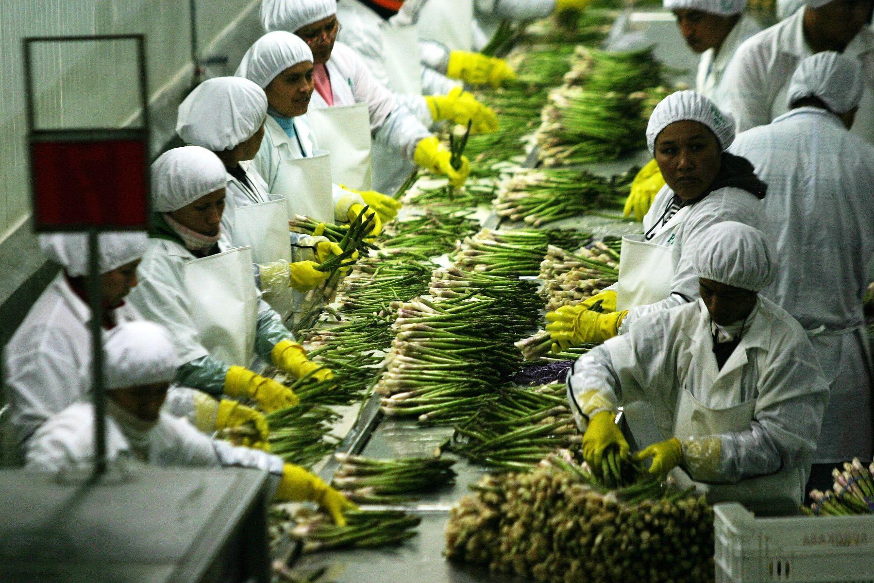 Solo grandes empresas lideran el crecimiento del empleo formal
