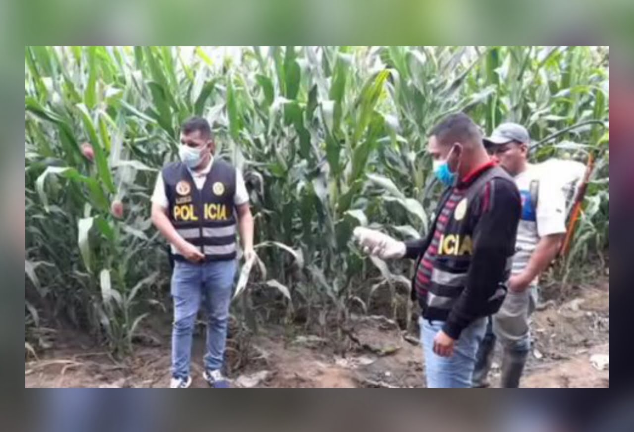 La Libertad: encuentran cadáver de un hombre en medio de una chacra en Chao
