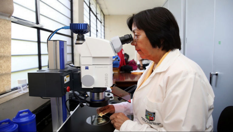Minedu destina S/ 34 millones para bonificación especial a docentes investigadores de universidades públicas