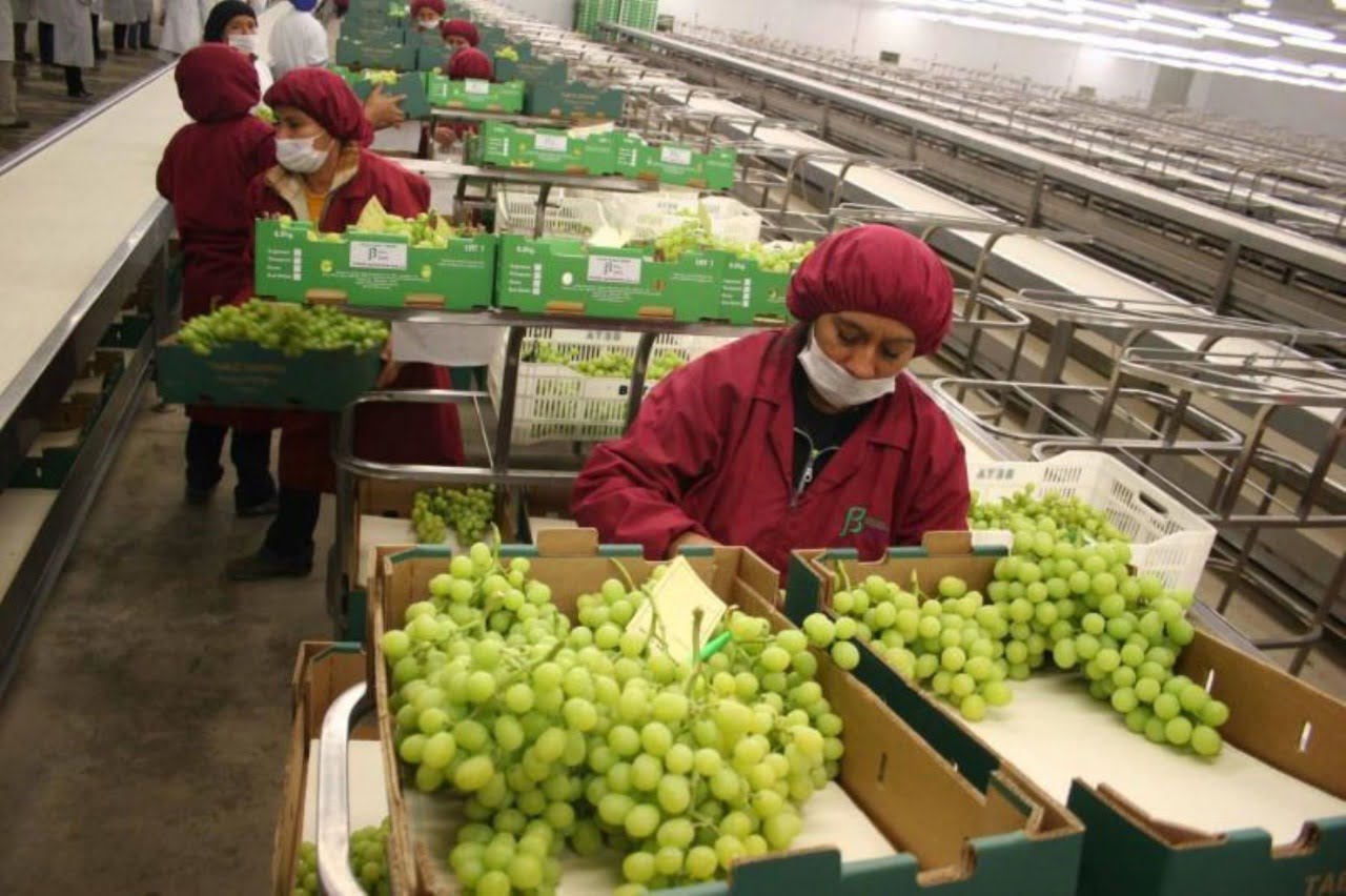 Más de 221 mil empleos fueron creados en marzo de este año