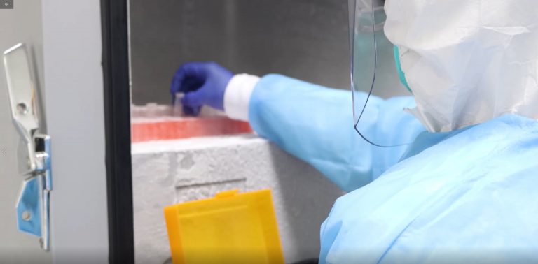 UNT realizará pruebas moleculares para diagnóstico COVID-19