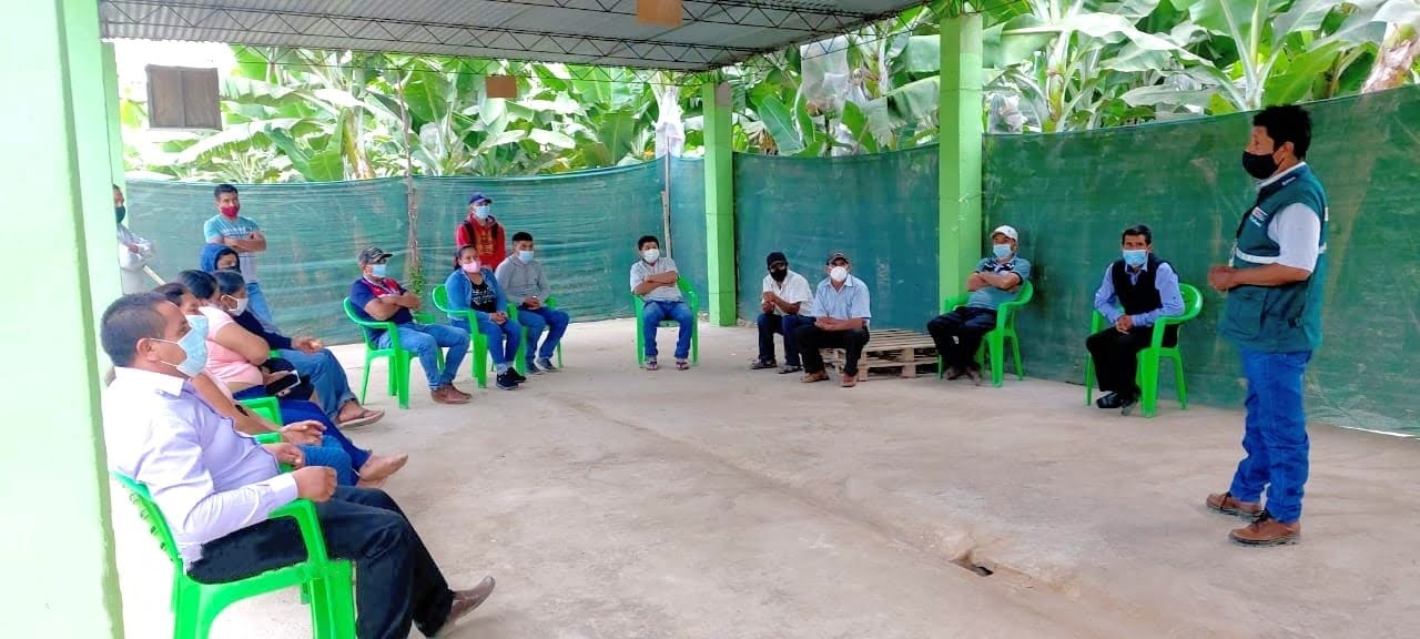 La Libertad: Productores de banano implementarán medidas de bioseguridad para evitar ingreso de la plaga Fusarium R4T