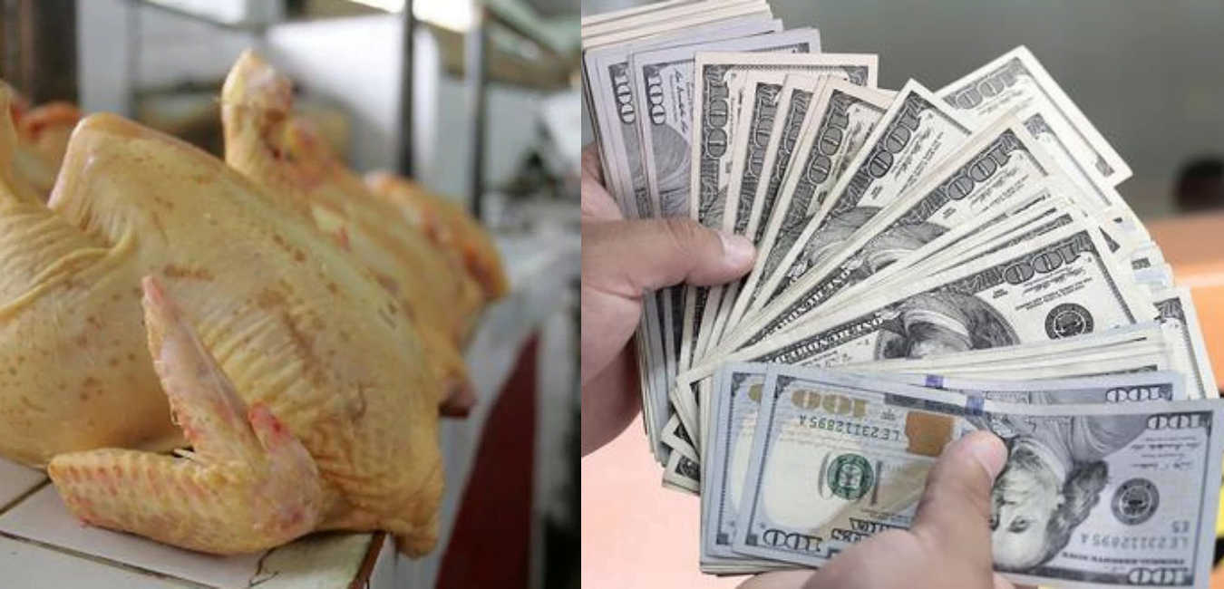 Sube el valor del dólar