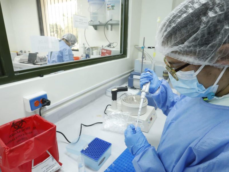 Minsa certifica 100 laboratorias para realizar pruebas moleculares para detectar la COVID-19