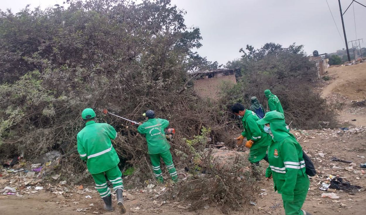 Trujillo: guarida de drogadictos es erradicada en El Porvenir