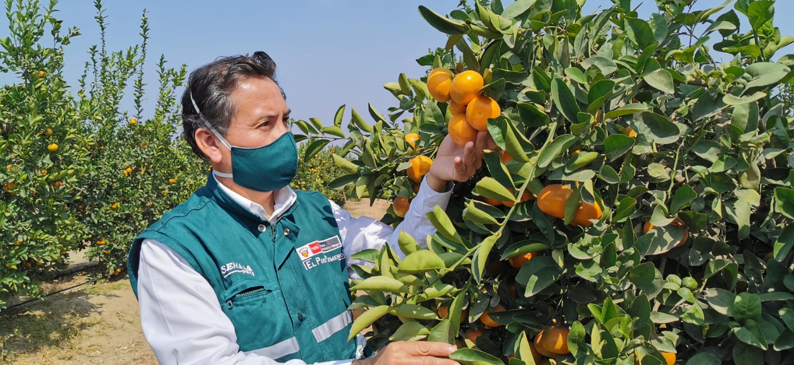 Perú concreta acuerdos fitosanitarios para iniciar exportaciones de cítricos hacia Uruguay