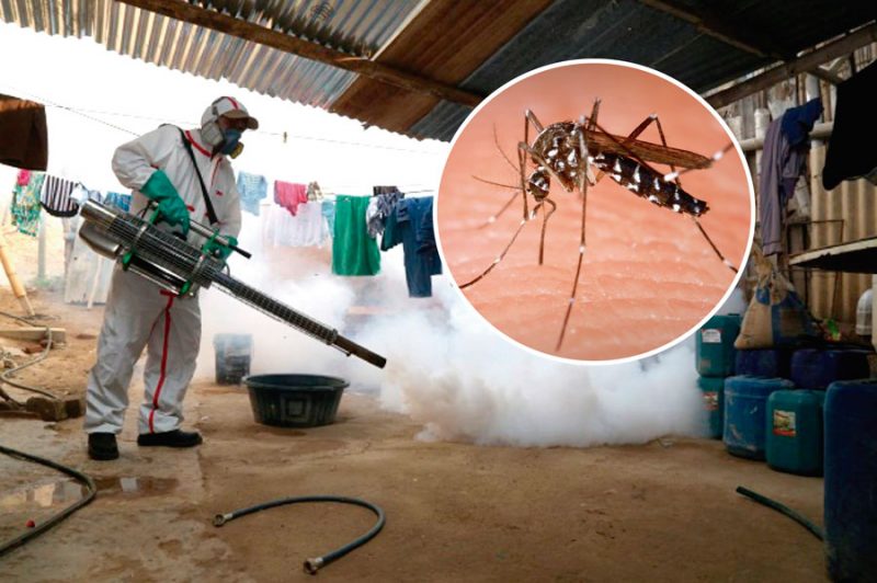La Libertad: se detecta primer muerte por dengue en lo que va del 2021