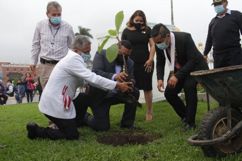 Trujillo: siembran segundo arbol de quina por la celebración del Bicentenario
