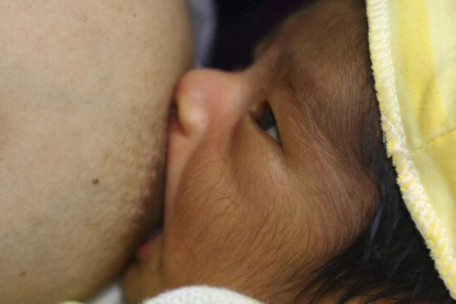 El 68,4% de los niños menores de seis meses fueron amamantados exclusivamente