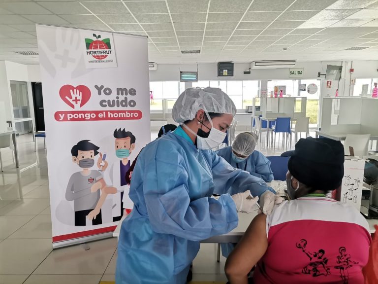 Más de 1 100 trabajadores agroindustriales de Hortifrut fueron inoculados con vacuna COVID-19
