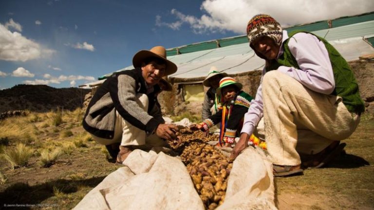 Anuncian segunda Reforma Agraria para este 3 de octubre