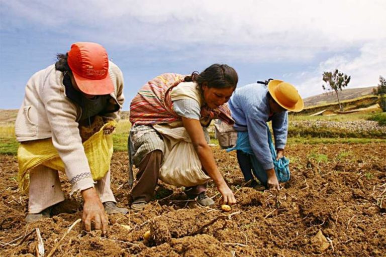 Agroexportadores podrán participar en gabinete de desarrollo agrario