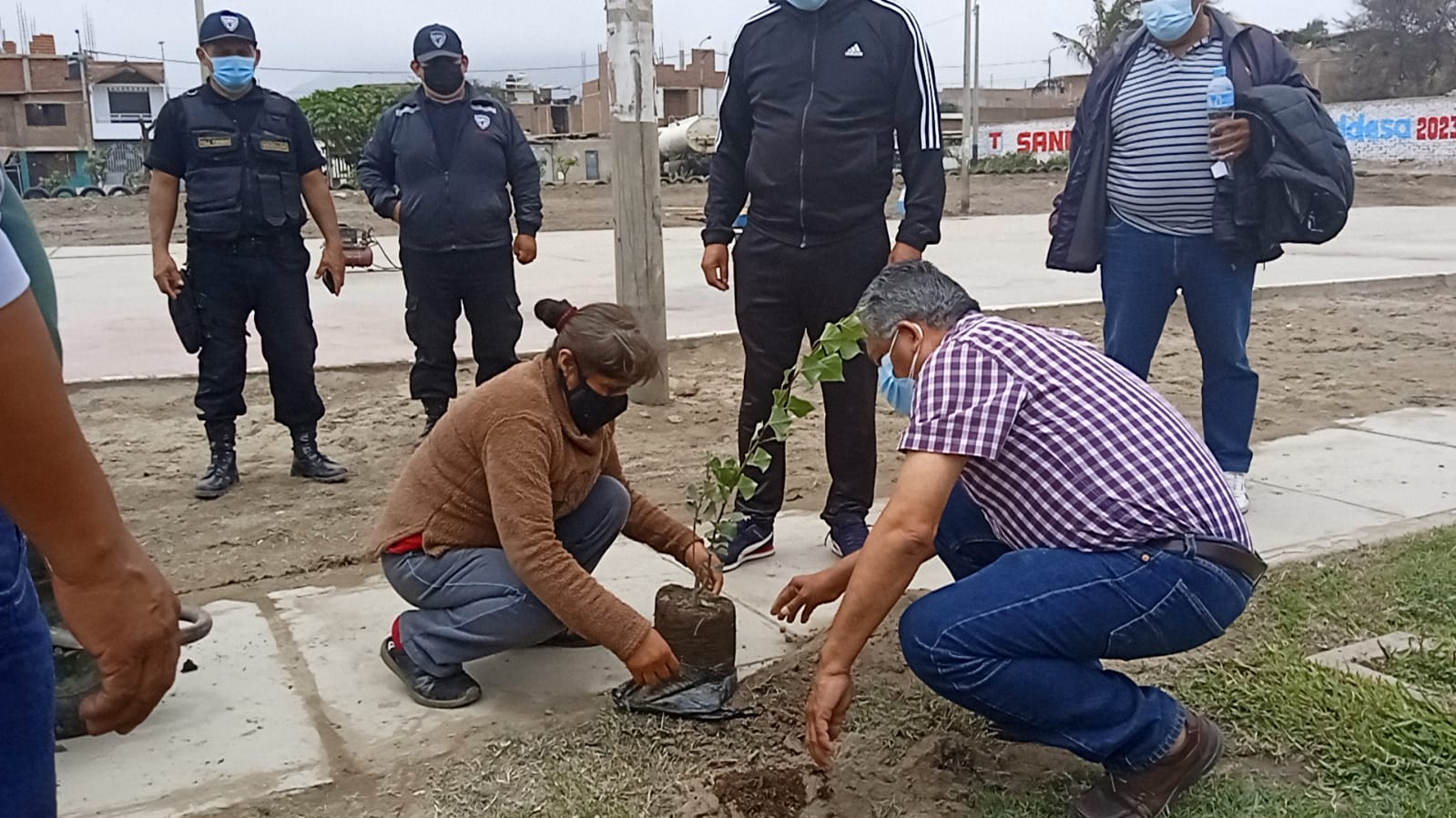 Sembrarán 1500 árboles para recuperar espacios públicos en El Porvenir