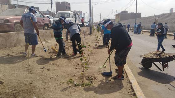Condenados por delitos leves trabajarán para la comunidad