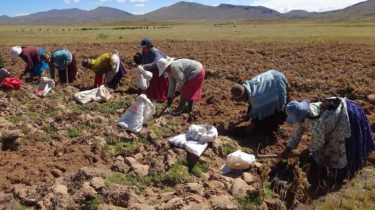 Segunda Reforma Agraria: medidas proteccionistas encarecerán los productos y no solucionarán los problemas estructurales del agro