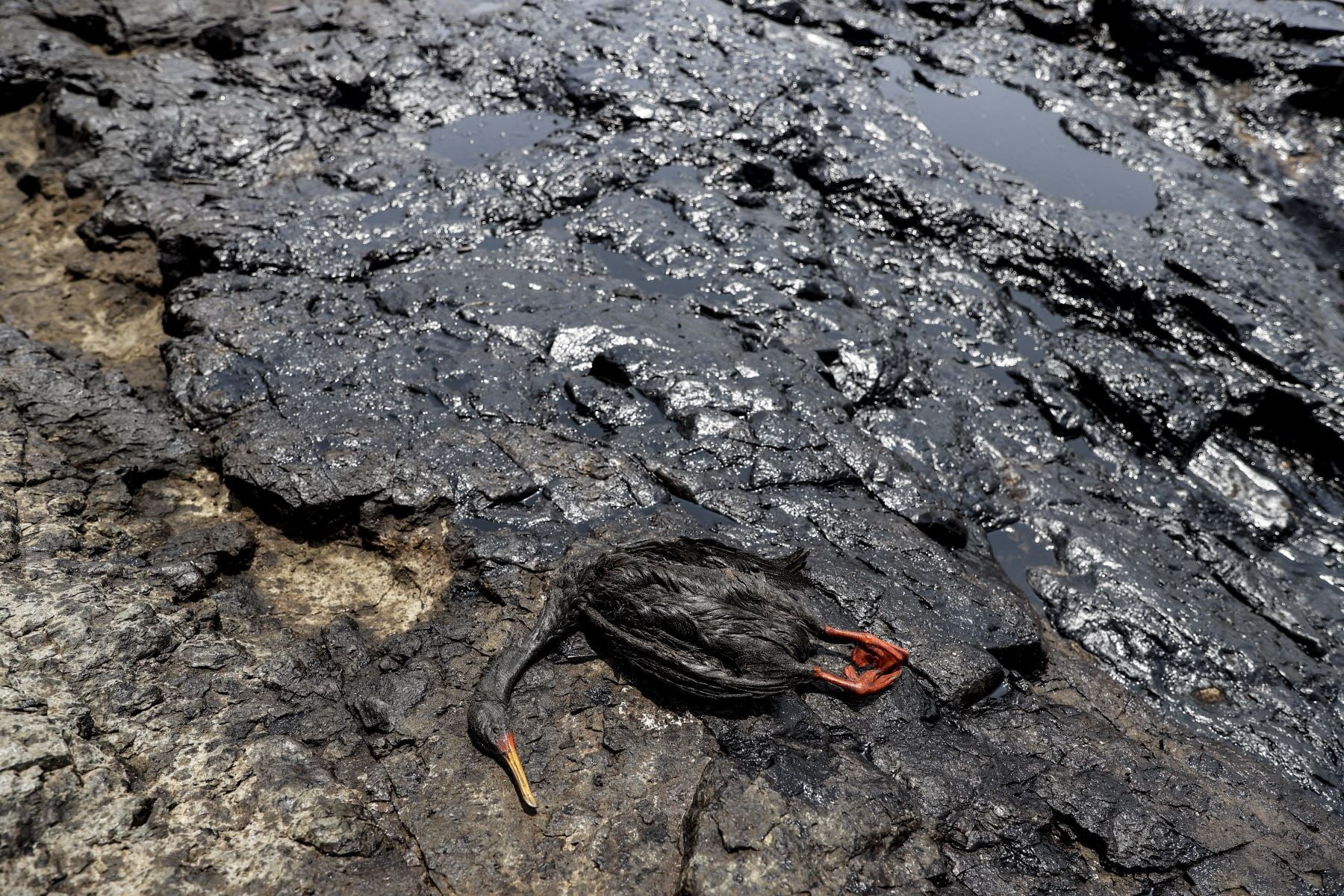 Derrame de Petróleo va en camino a las costas de Ancash
