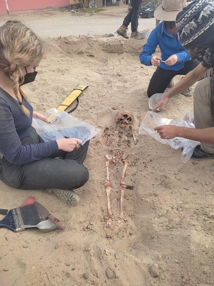 Hallan restos de niños sacrificados de la cultura Chimú