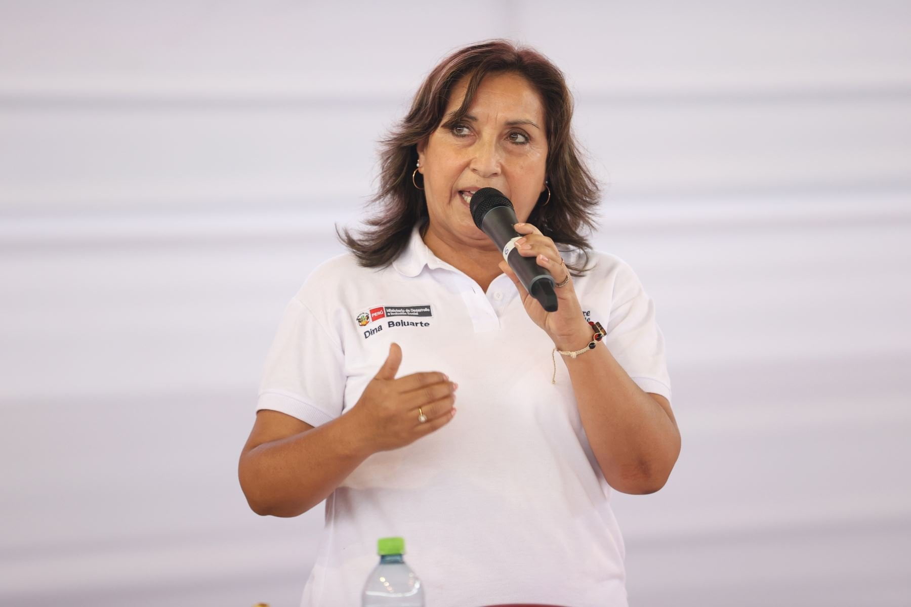Titular del Midis Dina Boluarte no será parte del Gabinete Chávez