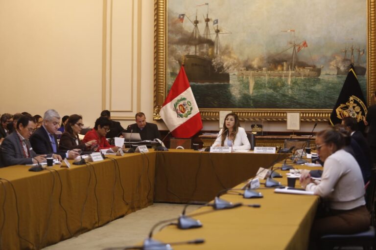 SAC admite denuncia constitucional contra Pedro Castillo