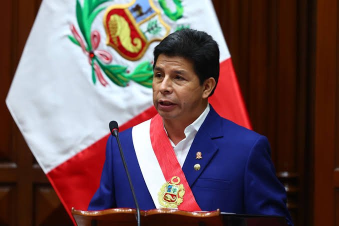 Declaran improcedente tutela de derechos para anular denuncia constitucional contra Pedro Castillo