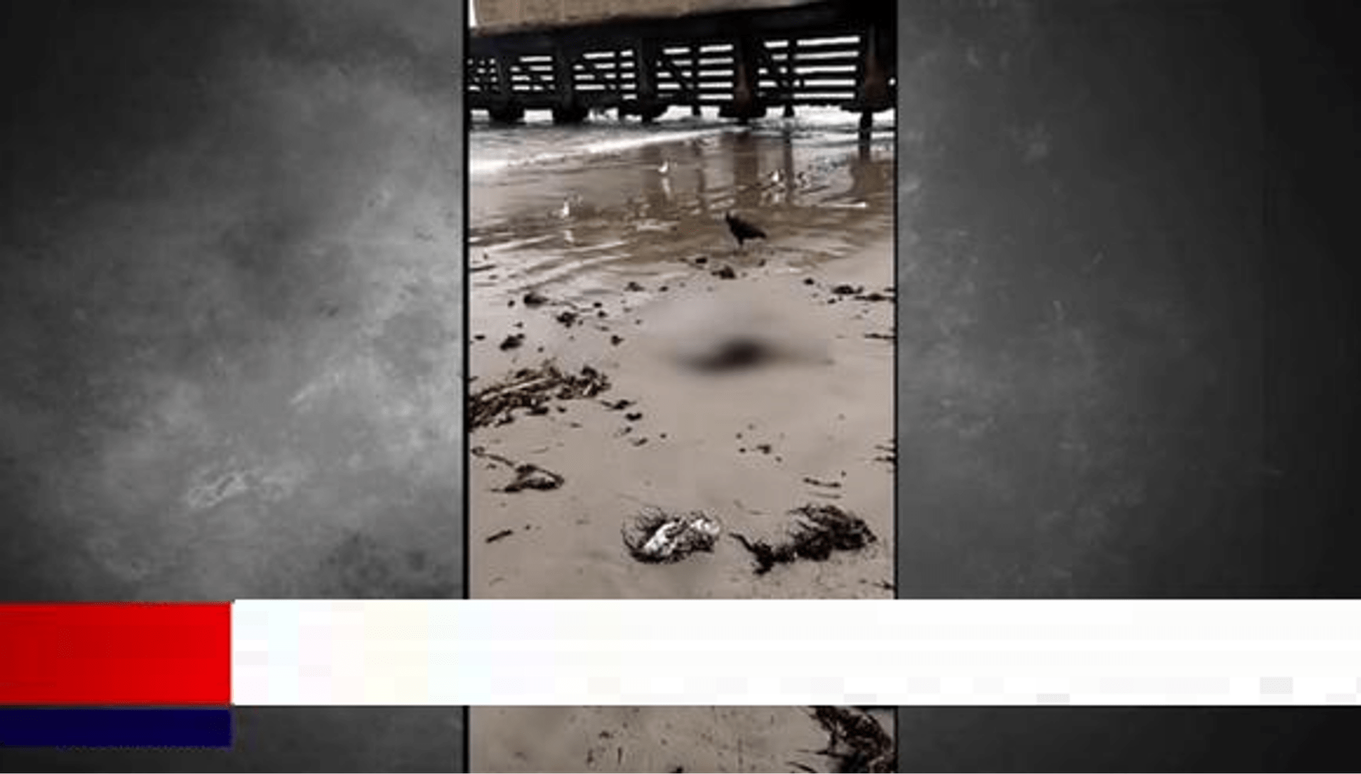 Pescadores huachanos hallan en la orilla de una playa la cabeza de una mujer descuartizada