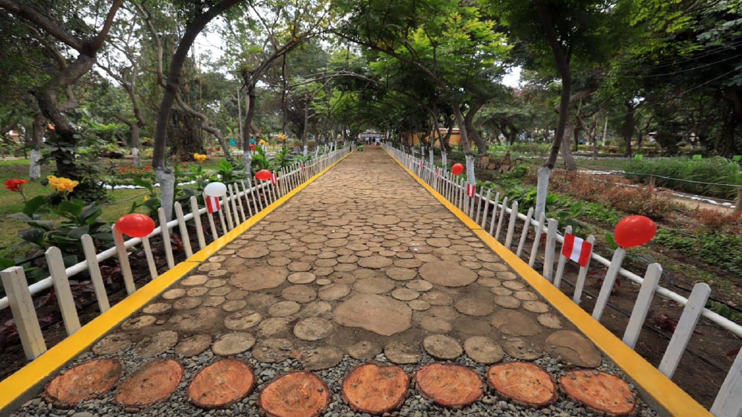 Habilitarán circuito nocturno en el Jardín Botánico de Trujillo