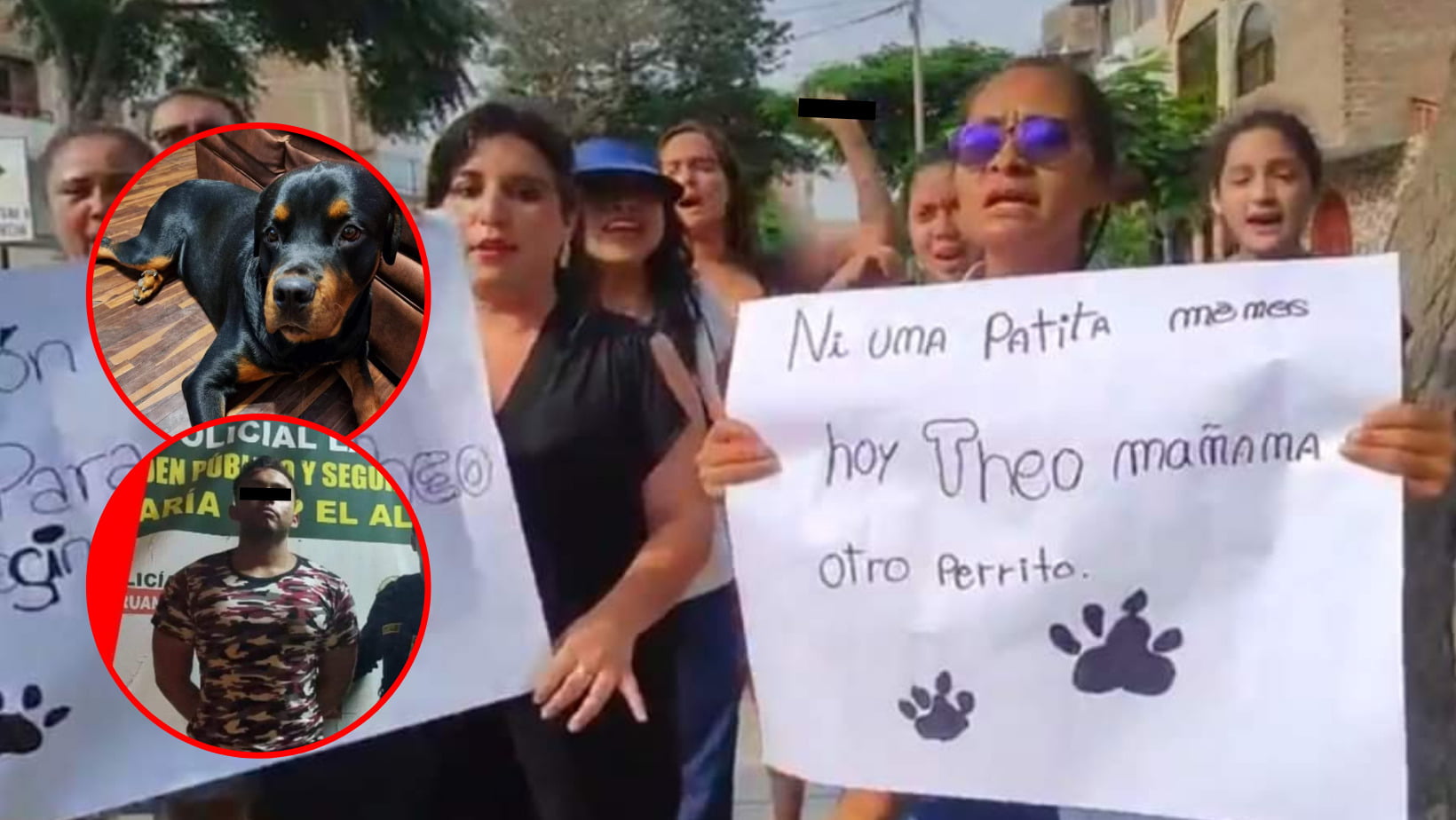 Trujillo: Piden justicia para mascota "Teo" asesinado en la urb. Primavera