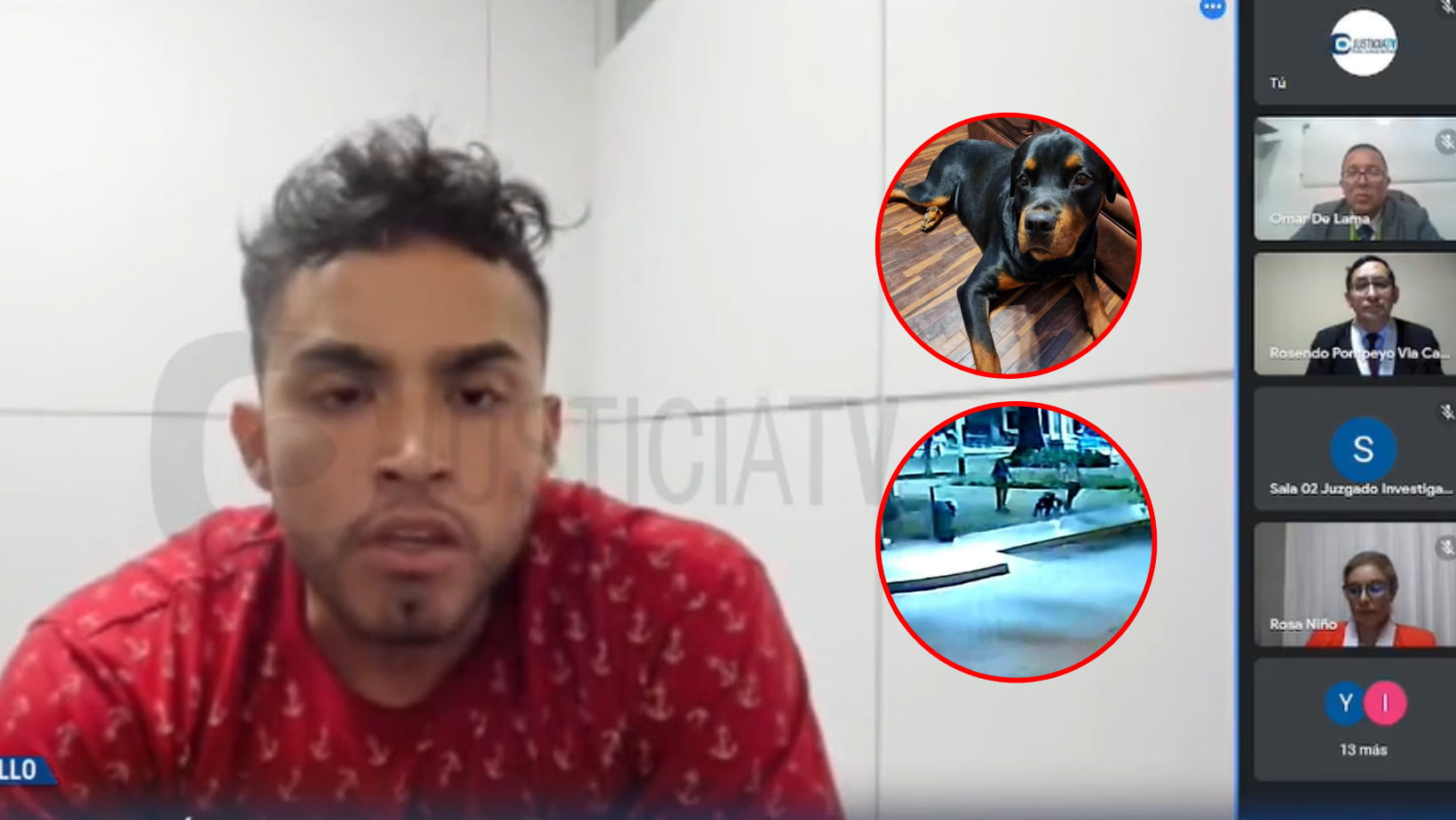 Trujillo: Sujeto que asesinó a mascota "Teo" asegura que lo realizó para no verlo sufrir