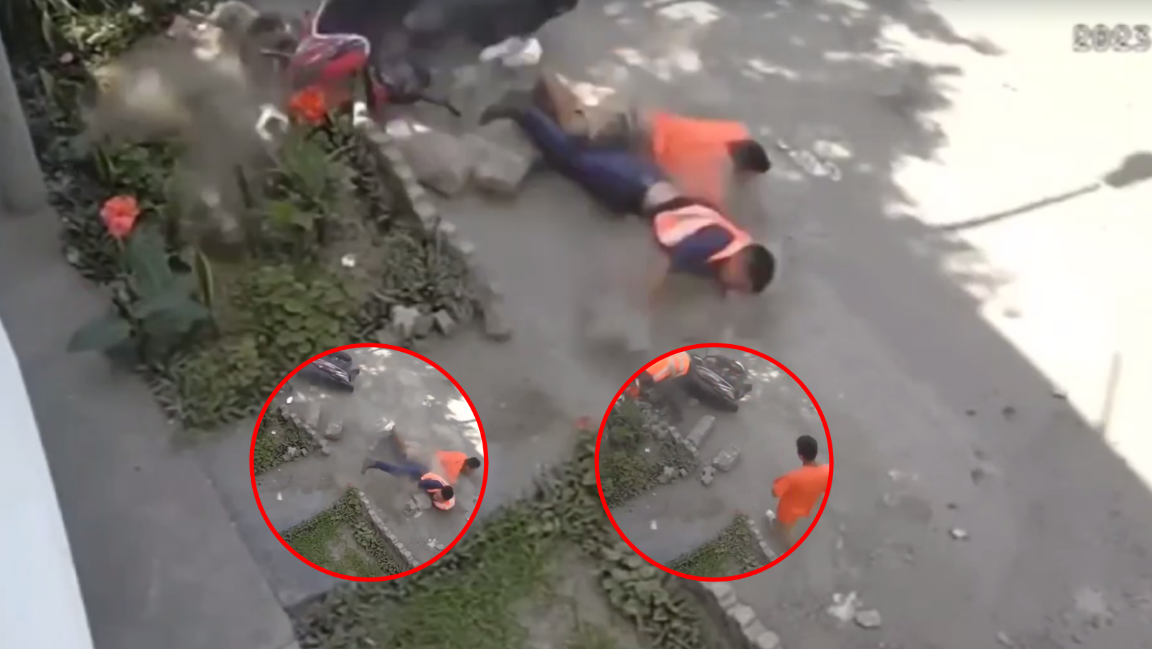Trujillo: Delincuentes son atropellados por víctima tras robar celular