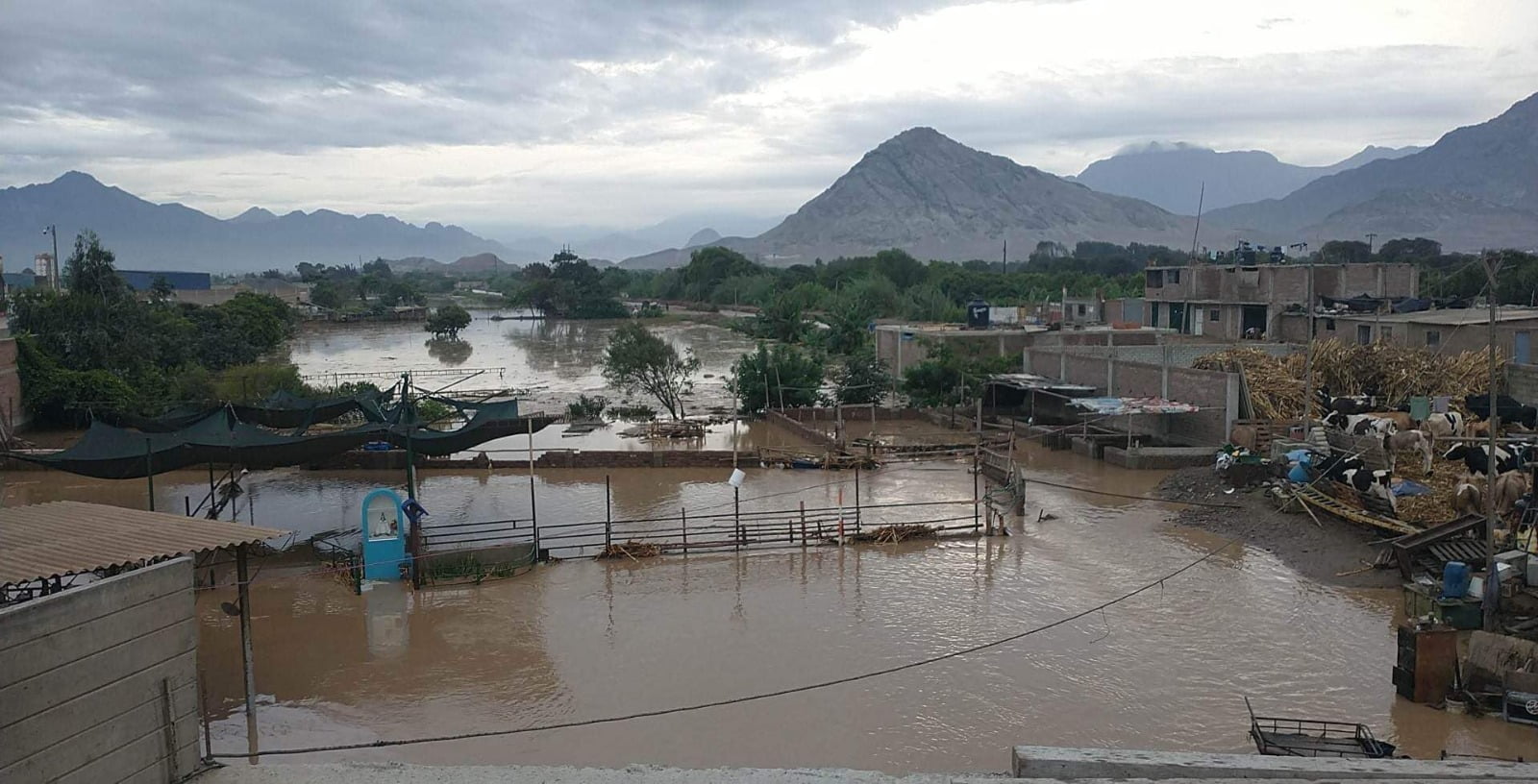 Río Moche se desbordó y 15 familias afectadas son reubicadas en coliseo