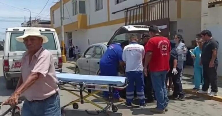 Moche: Perros pitbull atacan a ciudadano