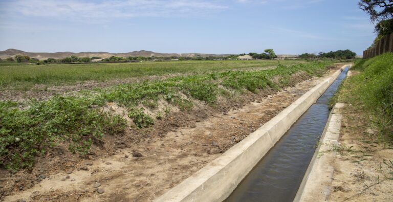 Pacasmayo: Mejorarán seis canales de riego para optimizar la agricultura