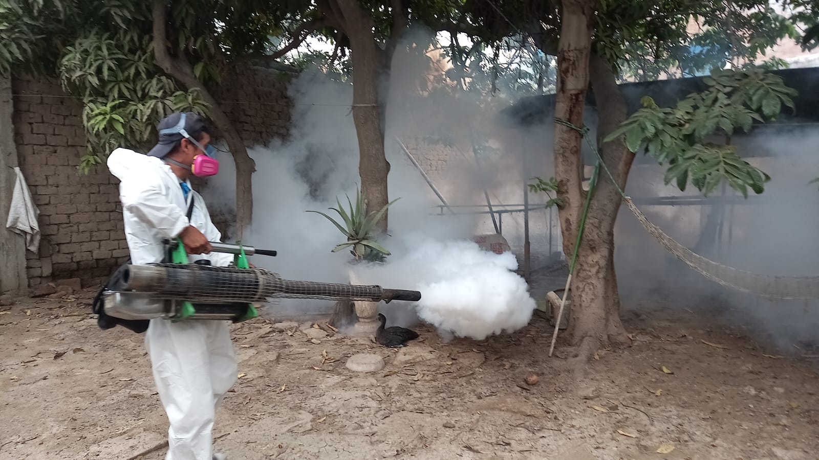 La Libertad: Fumigan más de 2,700 viviendas para evitar expansión de el dengue