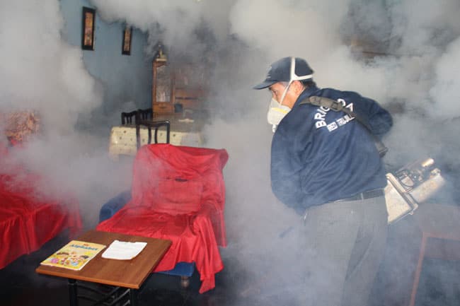 La Libertad: existen 322 casos de dengue en la región