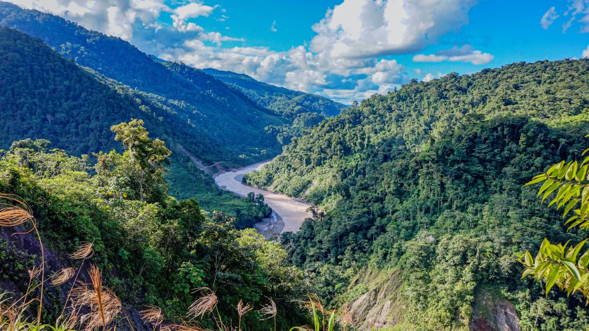 Huánuco: Aprueban zonificación del Área de Conservación Regional Codo del Pozuzo