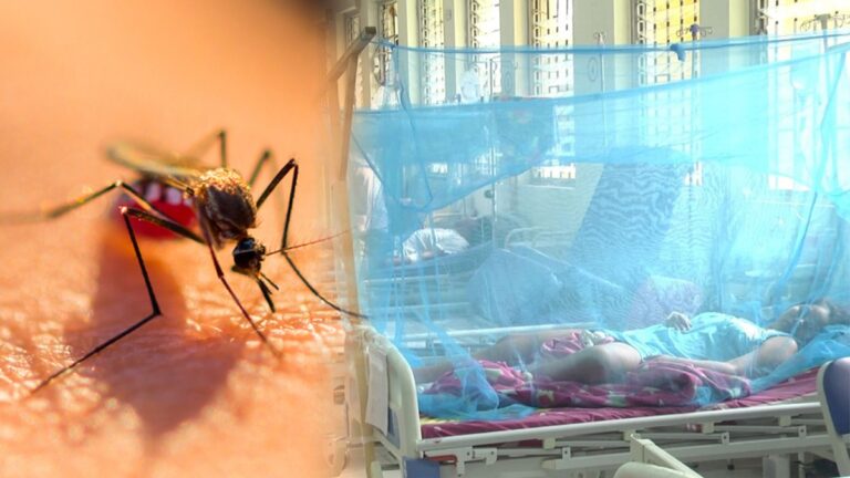 Epidemia por dengue en Perú: La realidad en las regiones contradice a la ministra de Salud