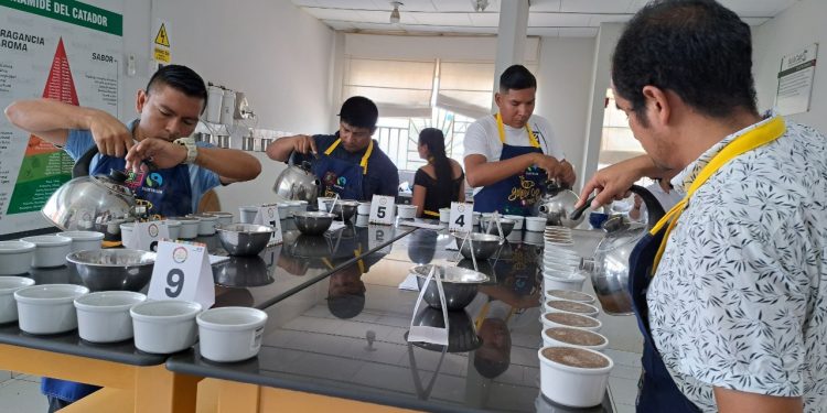Compradores de café de Europa y Asia interesados en participar en el Golden Cup Perú