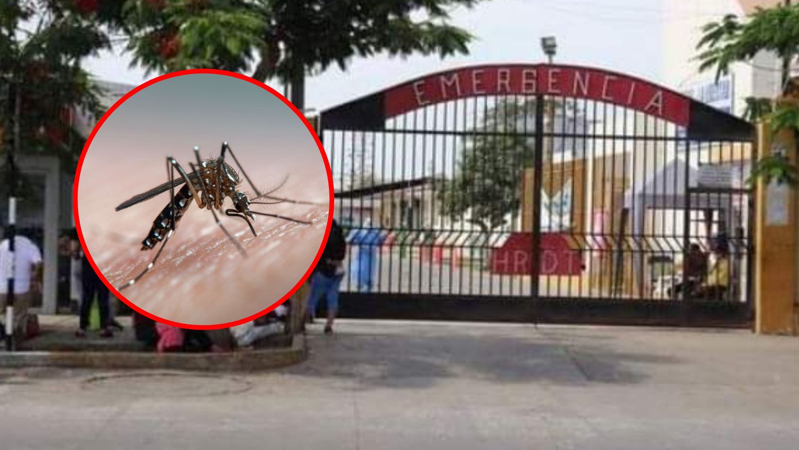Trujillo: hospital Regional tiene más de 10 pacientes hospitalizados con dengue