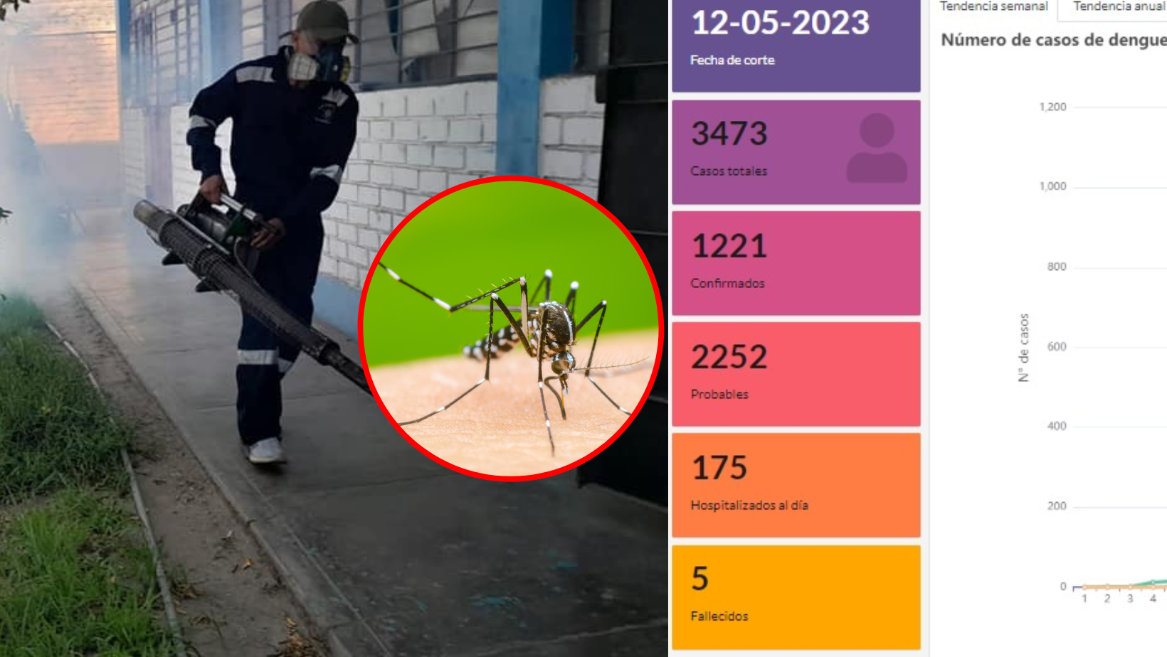 La Libertad: quinta víctima mortal por dengue