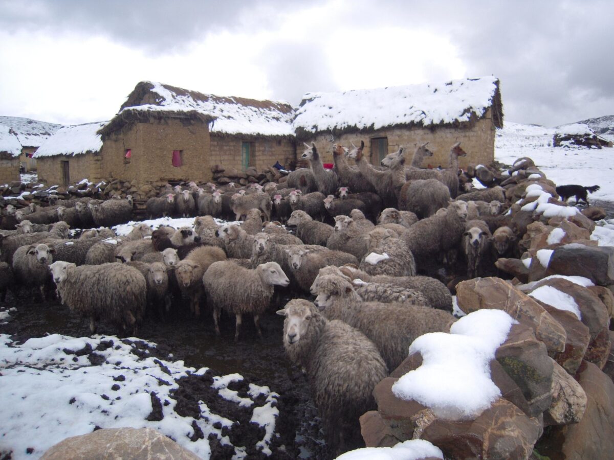 Lluvias y nevadas continuarán en los Andes hasta el sábado 13 de mayo por fenómeno DANA David
