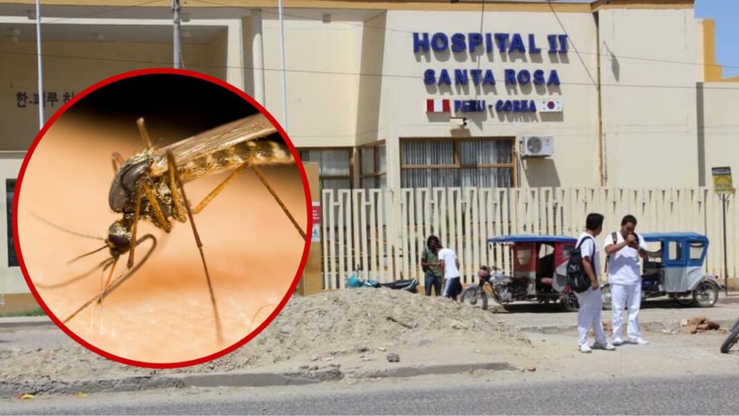 Hospital Santa Rosa de Piura necesita otra Uviclin para atender casos de dengue
