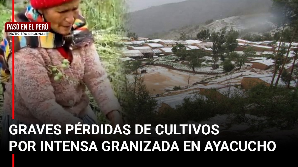 Pasó en el Perú | Dengue sigue cobrando vidas en Piura y fuerte granizada en Ayacucho devasta cien hectáreas de cultivo